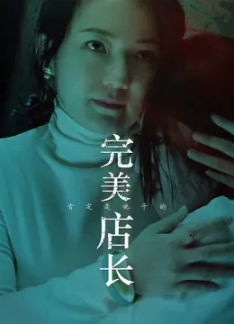 完美店长
