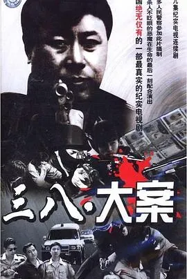 沈阳三八大案侦破纪实