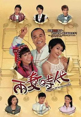 两妻时代国语