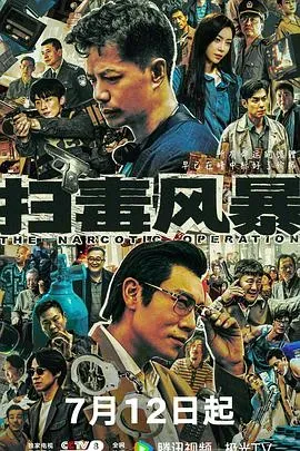 扫毒风暴剧版